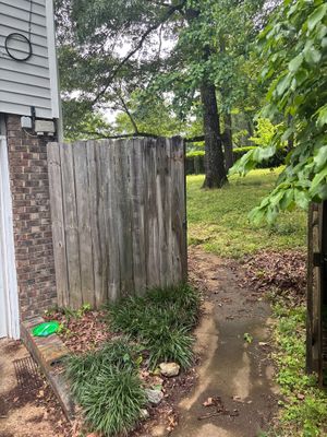 Exterior yard area showing standing water/drainage issues near a wooden fence with overgrown vegetation and wet ground