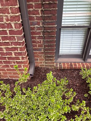 A downspout drainage system with a dark gray pipe directing water away from the brick foundation, with landscaping and