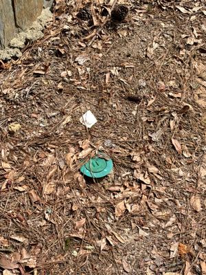An exterior yard drainage catch basin with a turquoise/teal colored grate installed in mulch and soil during foundation