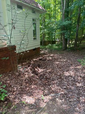 Exterior view of a house foundation with mulched yard and surrounding forest, showing no visible repair work or