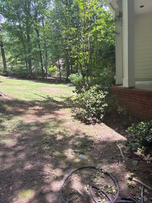 Exterior yard and foundation area showing a grassy lawn with mature trees and brick foundation visible, with no repair