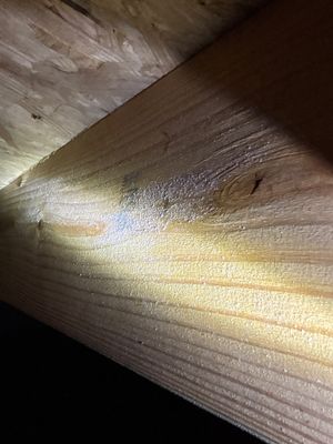 Close-up view of wooden structural elements showing grain texture and some discoloration or moisture staining, likely