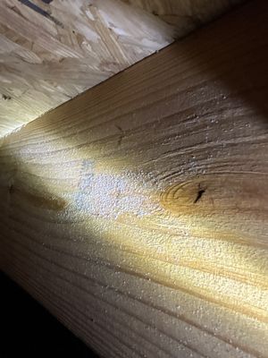 Close-up view of wood beam or joist showing surface deterioration, discoloration, and a small hole, indicating