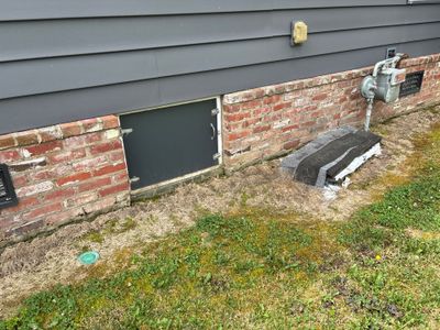 Exterior foundation area with a black plastic catch basin or drain box visible in the lawn, indicating active yard