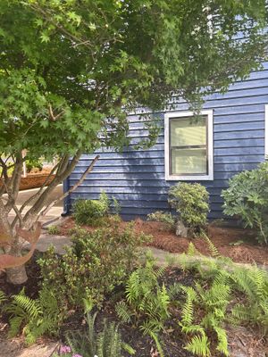 A blue-sided house exterior with mature landscaping, shrubs, and a window visible, showing no active repair work or