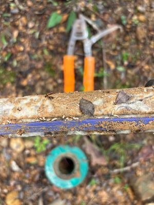 Exterior yard drainage installation showing a blue-painted drainage pipe with a catch basin (turquoise ring) visible in