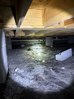 Crawlspace interior showing wet/damp concrete floor with visible water pooling and staining, indicating moisture