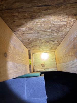A crawl space showing blue vapor barrier material (encapsulation) installed on the floor with interior drainage channel
