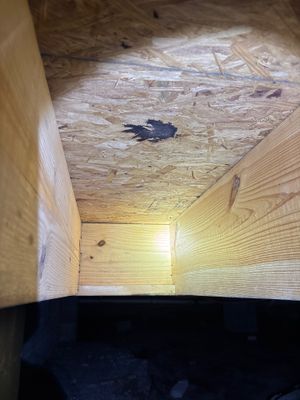 Interior crawl space showing OSB subfloor above and black vapor barrier or moisture barrier material being installed on
