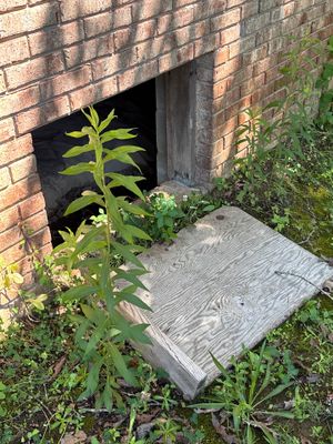 Exterior foundation wall with vegetation growth and an open crawlspace access opening showing no visible repair work