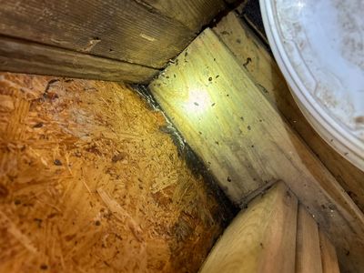 Close-up view of a crawl space or basement corner showing exposed wood framing, cork/particle board insulation, and
