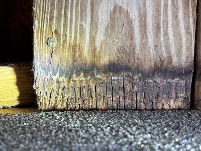 A foundation wall showing visible moisture damage, efflorescence, and deterioration with soil/gravel at the base,