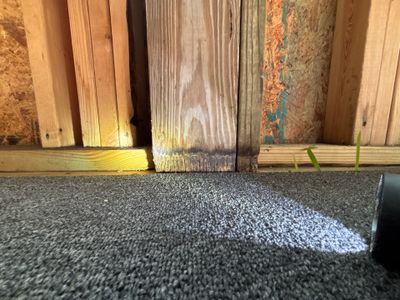 Interior basement floor showing gray carpet with light-colored interior drainage channel or trench system visible along