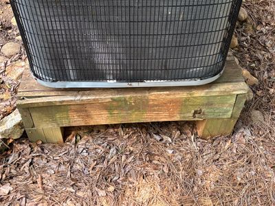 An exterior foundation area with a wooden support beam or sill plate sitting on deteriorated soil with visible