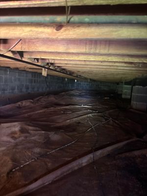 A crawlspace or basement floor showing standing water and wet soil conditions with exposed wooden support beams above,