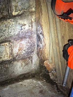 A concrete foundation wall with visible efflorescence, mineral deposits, and moisture staining, showing signs of water