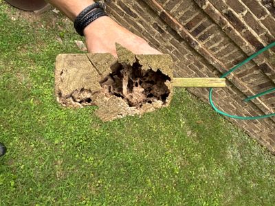 An excavation pit with exposed soil and a drainage pipe being installed in the yard, with a measuring tool visible for