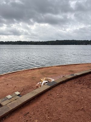 Exterior yard drainage installation in progress along a waterfront property, showing a curved drainage channel or