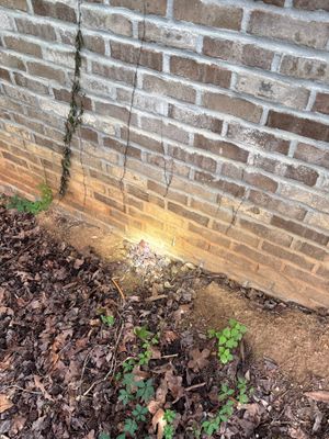 Foundation wall with visible moisture staining and wet soil at the base, showing evidence of water intrusion or poor