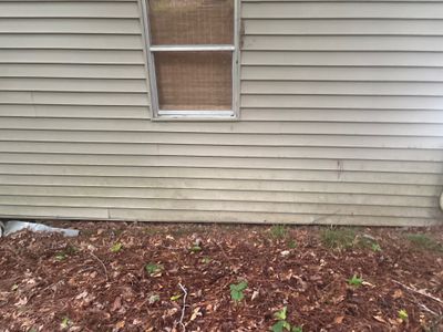 Exterior view of a house foundation with vinyl siding and a mulched yard showing no visible repair work or drainage