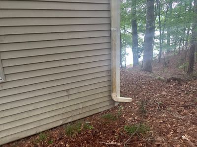 Exterior view of a house foundation with siding and downspout adjacent to a wooded area with leaf-covered ground,
