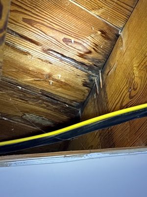Interior crawlspace or basement showing exposed wooden joists, water damage/discoloration on wood, and a yellow