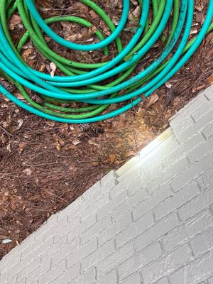 Green garden hoses coiled on mulched ground next to a white brick foundation, indicating drainage setup preparation or