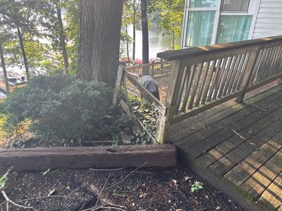A waterfront deck with overgrown vegetation and exposed soil conditions visible beneath wooden railings, showing the