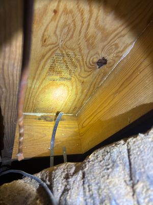 Interior foundation drainage system installation with metal strapping visible along wooden beam in a crawl space or