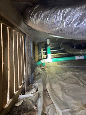Active crawlspace encapsulation and drainage system installation with plastic sheeting being laid over the floor and