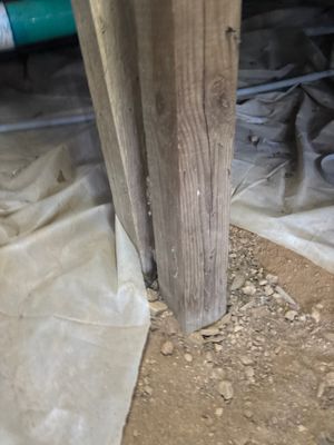 A wooden post or column is visible against a plastic vapor barrier being installed on the crawlspace floor during