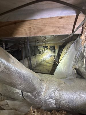 Active crawlspace encapsulation work in progress with vapor barrier material being installed and interior drainage