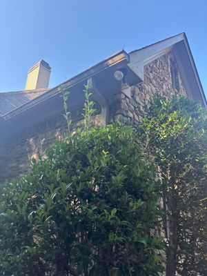 Exterior view of a stone foundation with overgrown vegetation in the foreground and a clear blue sky, showing no