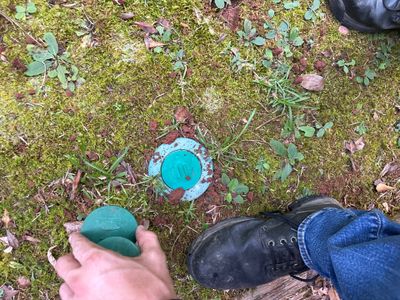 Exterior yard drainage work in progress showing a turquoise catch basin or drain box installed in a lawn with moss and