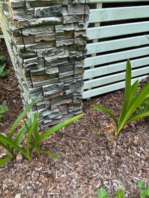 Exterior view of a wooden fence foundation with mulch ground cover and green plant growth, showing no visible repair
