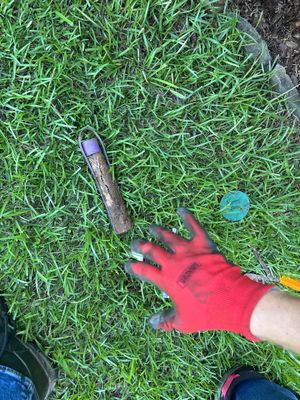 A worker in red gloves holding a drainage pipe or conduit on grass during exterior yard drainage installation