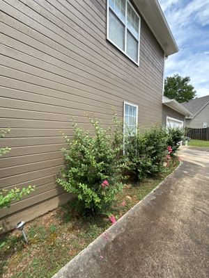 Exterior view of a residential house with landscaping along the foundation, showing no visible foundation repair work,