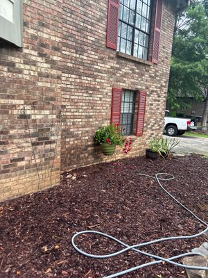 Exterior foundation area with mulched landscaping bed and white drainage hoses laid out across the ground during yard