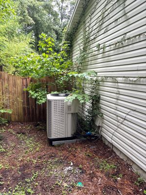 An air conditioning unit is positioned in a narrow space between a wooden fence and metal siding with overgrown