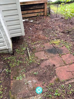 An exterior foundation area with overgrown weeds, mulch, brick pavers, and a blue catch basin or drainage marker