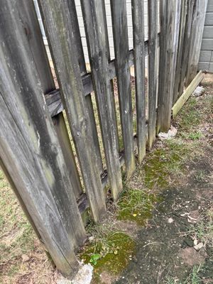 Exterior wooden fence base showing moisture damage, moss growth, and poor drainage conditions at ground level with