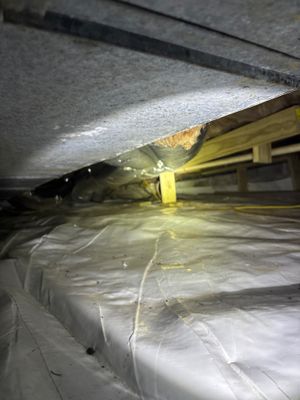 Installation of crawlspace encapsulation membrane with yellow support posts and metal beam visible during active