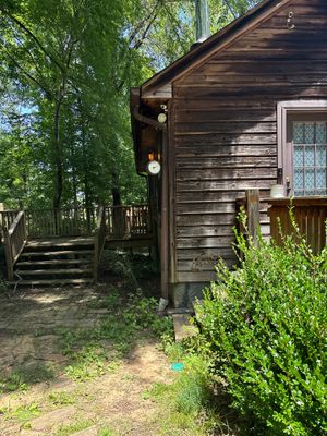 Exterior view of a dark wood cabin with surrounding forest, deck, and landscaping showing no visible foundation repair