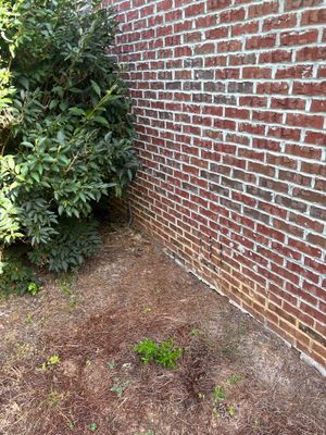 Exterior view of a brick foundation wall with adjacent landscaping and lawn showing the pre-repair condition of the