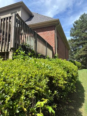 A residential brick home with mature landscaping and manicured shrubs, showing no visible foundation repair work,