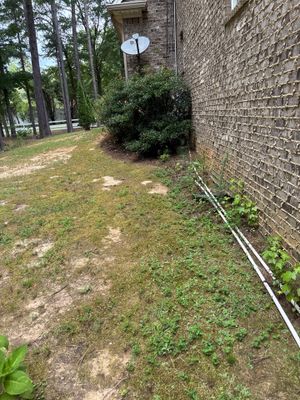 Exterior yard view showing a brick foundation wall, lawn with sparse grass coverage and moss growth, and landscaping