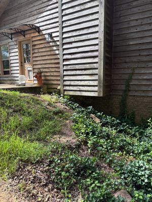 Exterior view of a wooden-sided house foundation with overgrown vegetation and ground-level landscaping, showing no
