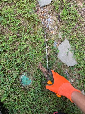 A technician in an orange glove is installing or inspecting a yard drainage catch basin or drain box in a grassy lawn