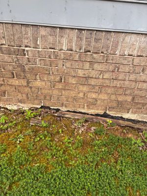 Exterior foundation perimeter showing moss-covered lawn, brick foundation wall, and a visible drainage pipe or channel