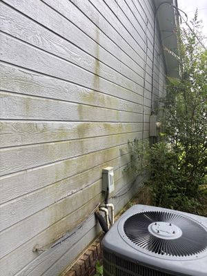 Exterior view of a house foundation with siding, an HVAC unit at ground level, and surrounding vegetation showing the